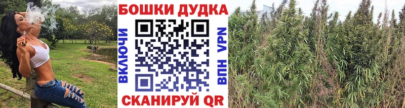 Бошки Шишки White Widow  Кущёвская 